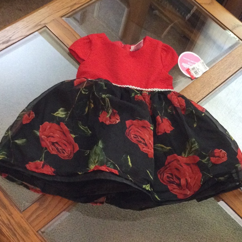 Nannette Girl’s Dress NWT